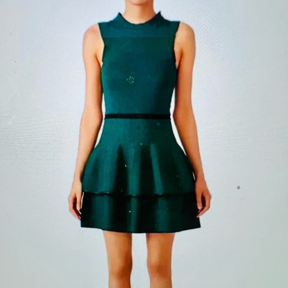 Parker Ryker Dress Green Sleeveless Ruffle size large
